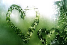 法兰克福遭遇滑铁卢，需调整阵容展望未来