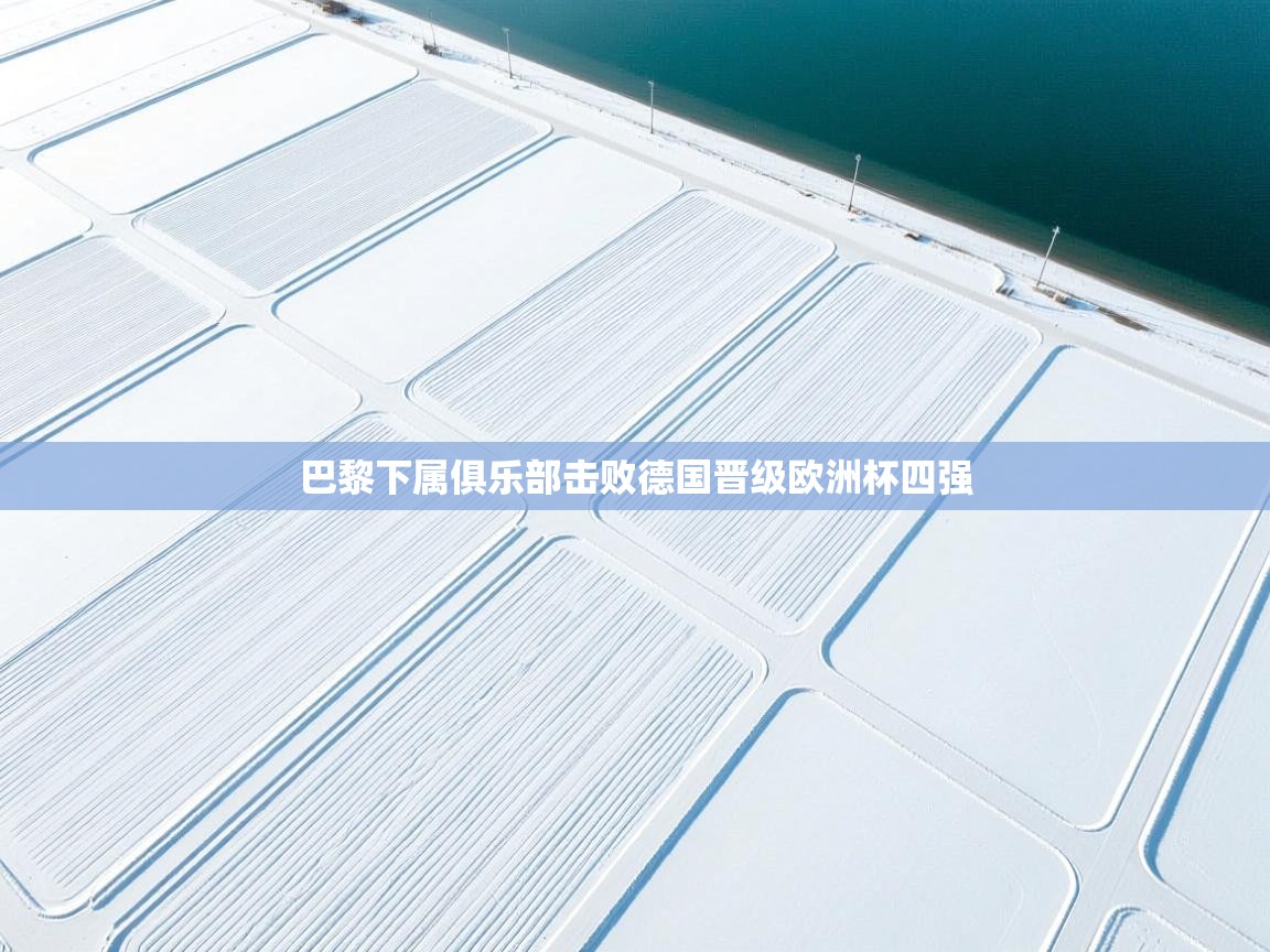 巴黎下属俱乐部击败德国晋级欧洲杯四强  第1张