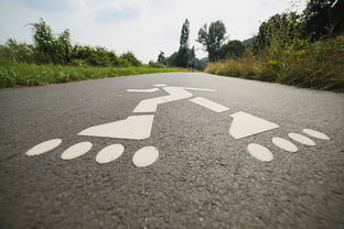 九游娱乐app-纽卡斯尔联主场失利，欲速反弹